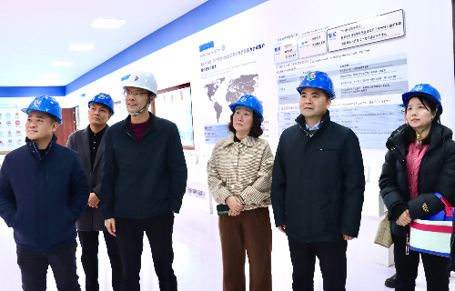 陽(yáng)光電源股份、宜賓智能制造行業(yè)協(xié)會(huì)、宜賓安徽商會(huì)調(diào)研遠(yuǎn)東電纜（宜賓）