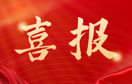喜報(bào)！遠(yuǎn)東電纜（宜賓）胡清平榮登2025年第一批擬認(rèn)定主導(dǎo)產(chǎn)業(yè)企業(yè)人才名單