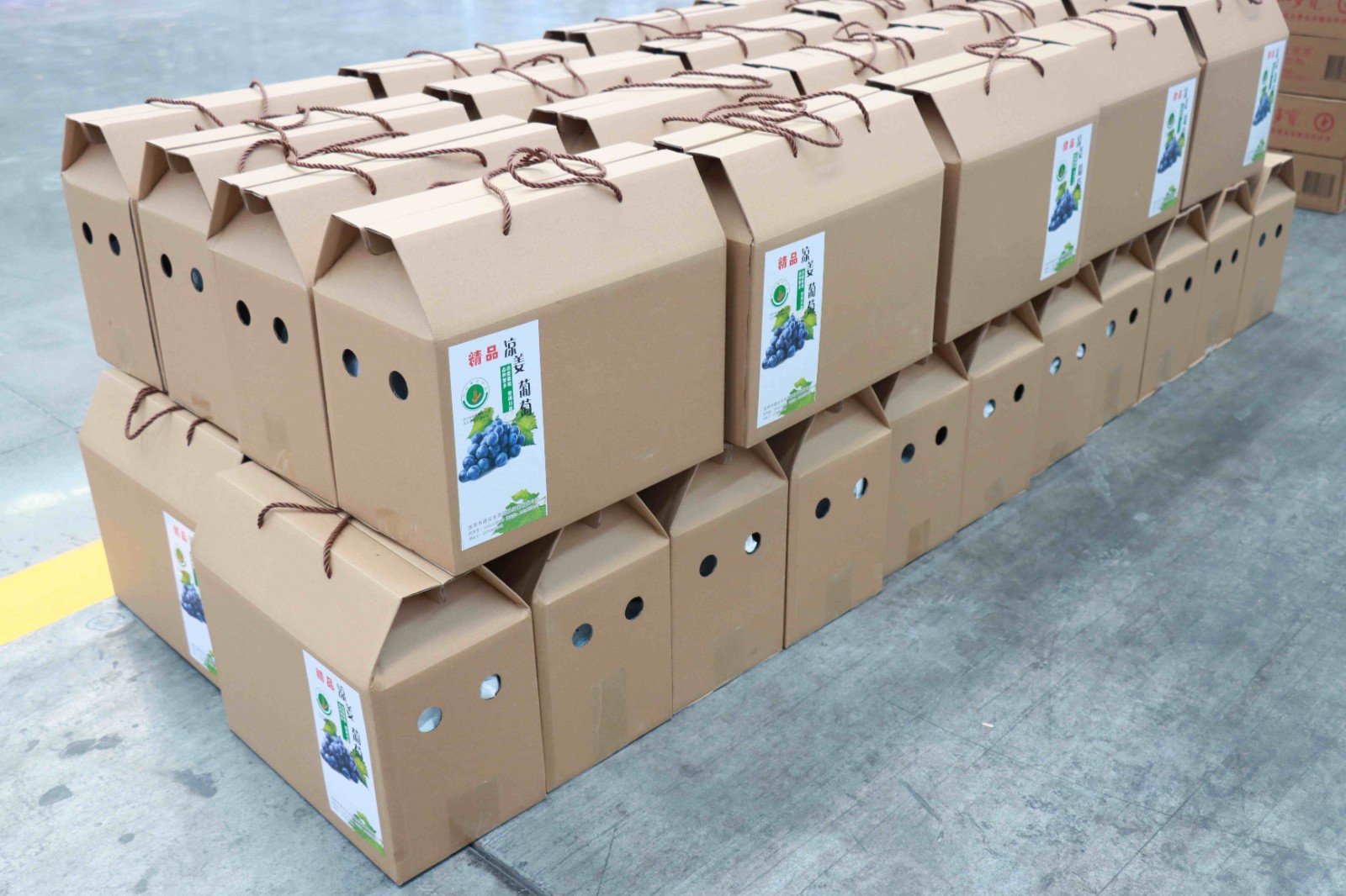 13398937651135849.jpg 13398937651135849.jpg